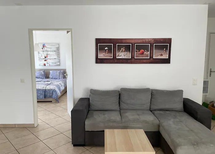Appartamento 2,5 Con Piscina Nel Cuore Di Locarno 463